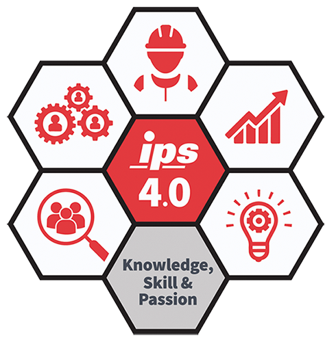 IPS Consultores